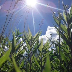 Meet your Posher, Britt